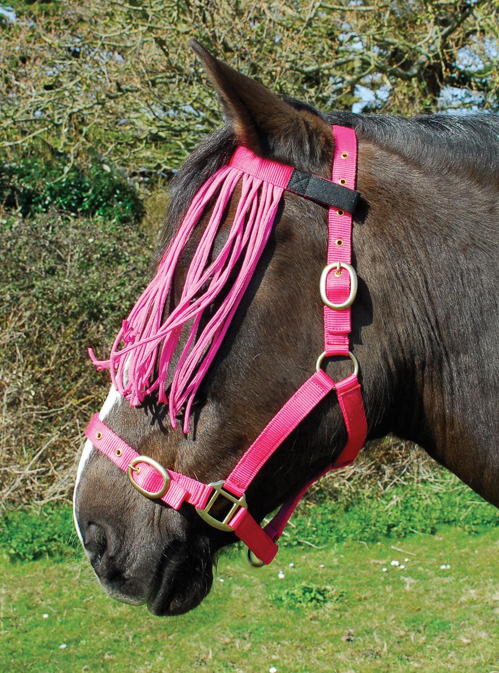 Rhinegold Frange Anti-Mouches - SHOP HORSE